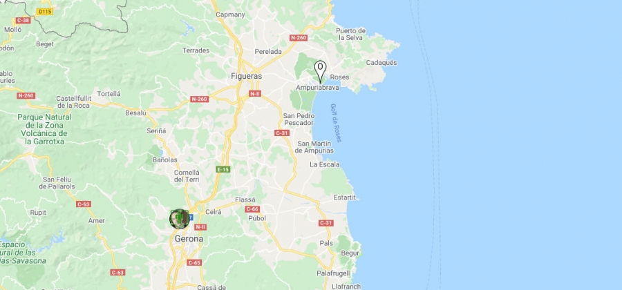 Google Maps Api